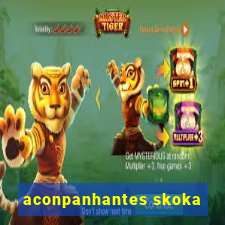 aconpanhantes skoka